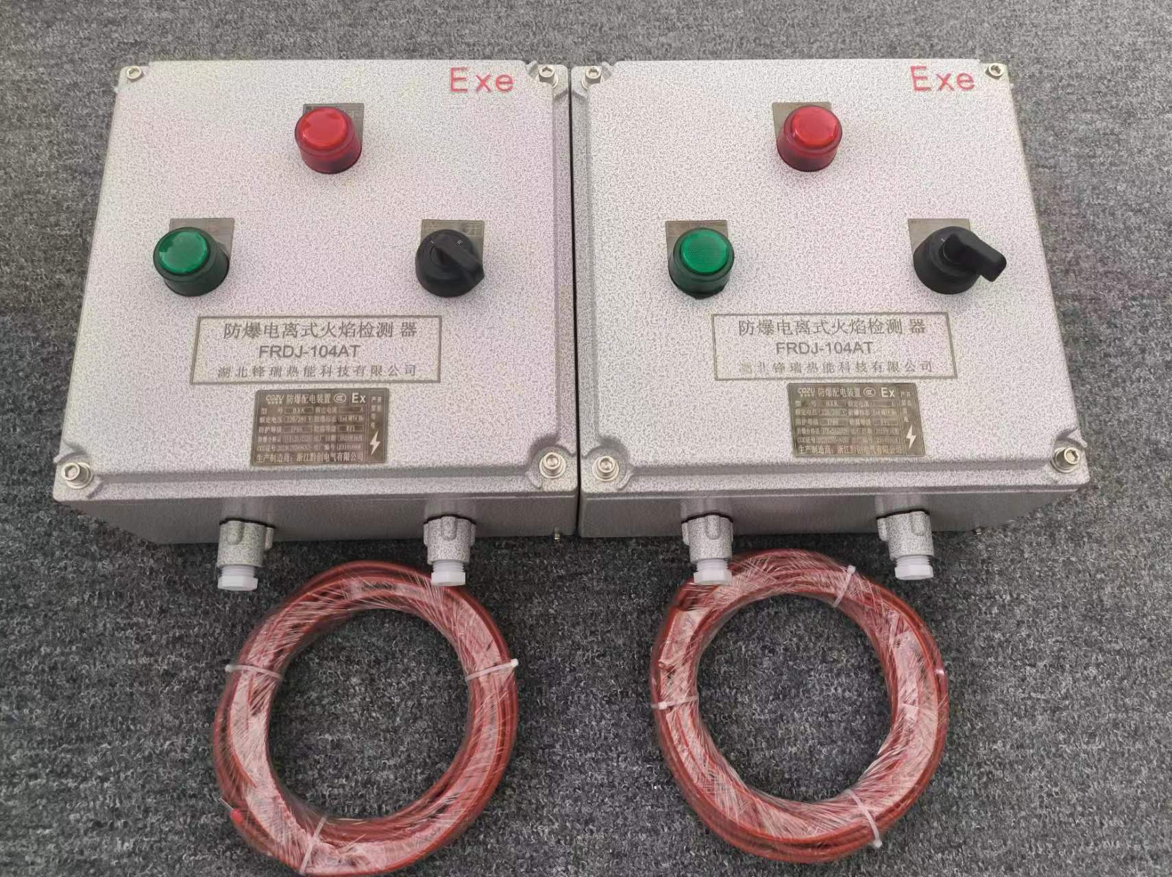 電離火焰檢測(cè)器.jpg